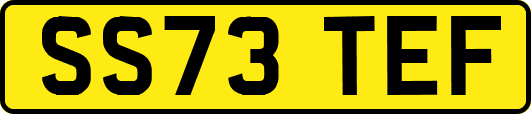 SS73TEF