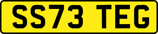 SS73TEG