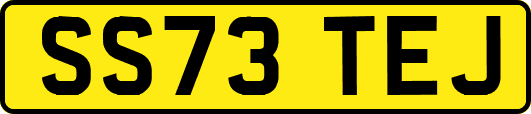 SS73TEJ