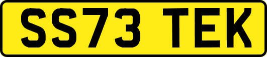 SS73TEK