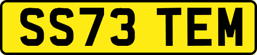 SS73TEM