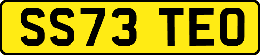 SS73TEO
