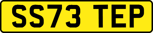SS73TEP