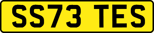 SS73TES