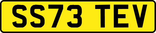 SS73TEV