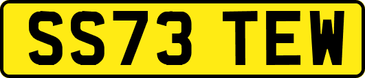 SS73TEW