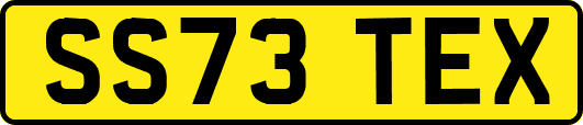 SS73TEX