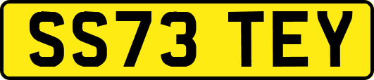 SS73TEY