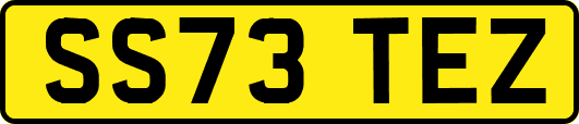 SS73TEZ