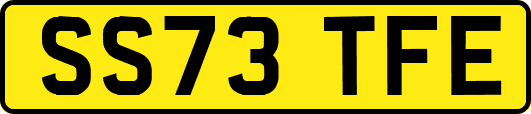 SS73TFE