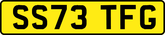 SS73TFG