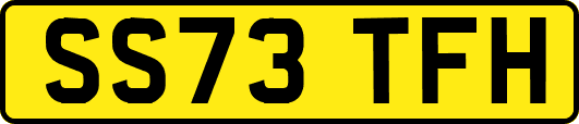 SS73TFH