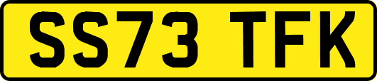 SS73TFK