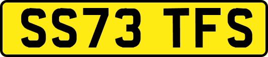 SS73TFS