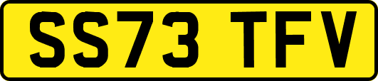 SS73TFV