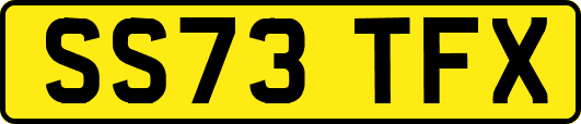 SS73TFX