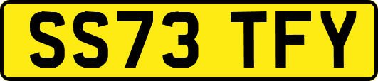 SS73TFY