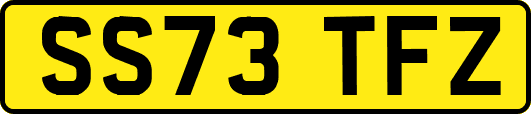 SS73TFZ