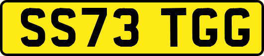 SS73TGG