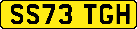 SS73TGH
