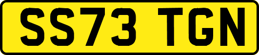SS73TGN
