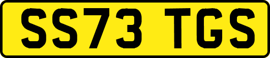 SS73TGS