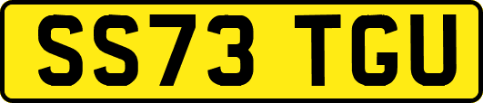 SS73TGU