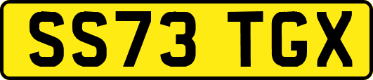 SS73TGX