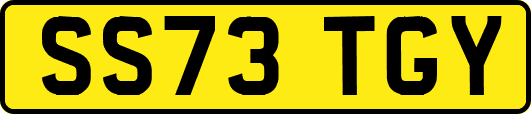SS73TGY