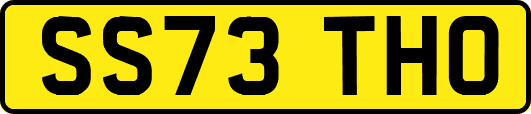 SS73THO