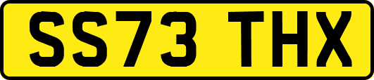 SS73THX