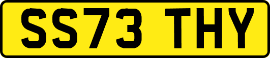 SS73THY