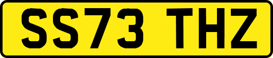 SS73THZ