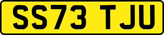 SS73TJU