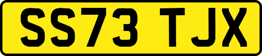 SS73TJX