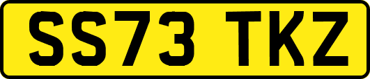 SS73TKZ