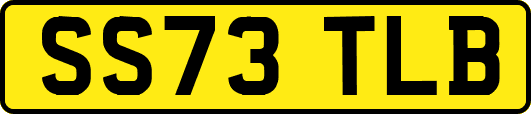 SS73TLB