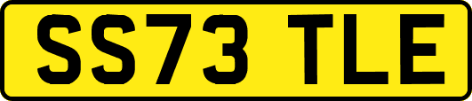 SS73TLE