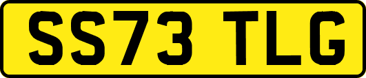 SS73TLG