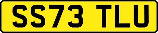 SS73TLU