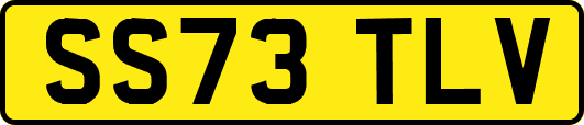 SS73TLV