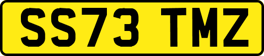 SS73TMZ
