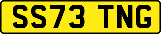 SS73TNG
