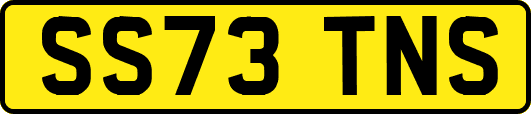 SS73TNS