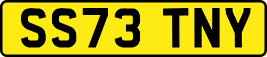 SS73TNY