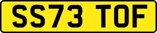 SS73TOF