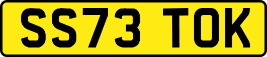 SS73TOK