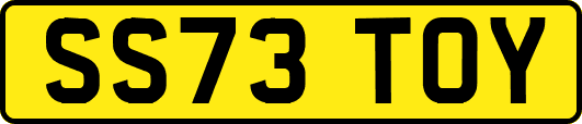 SS73TOY