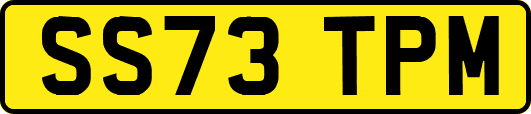 SS73TPM