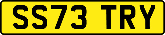 SS73TRY